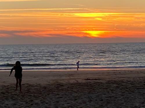 Camping Les Dunes De Contis