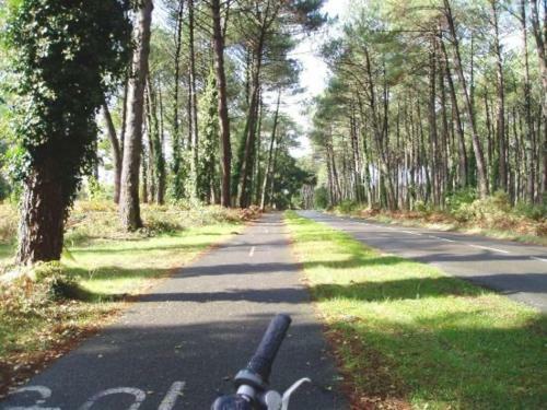 Camping Les Dunes De Contis