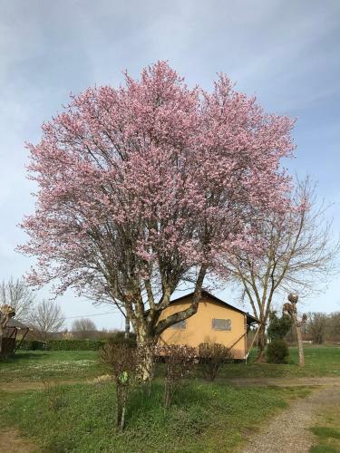 Le Mondou