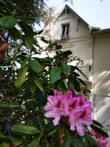 Bed & Breakfast Chambres D'h�tes La Maison Blanche