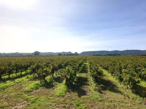 Bed & Breakfast Domaine de S�vanes