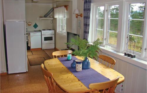 Holiday Home Nissedal Lindefjell