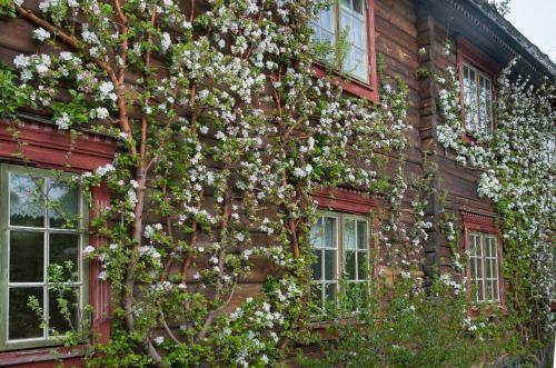Saga Trollheimen Hotel
