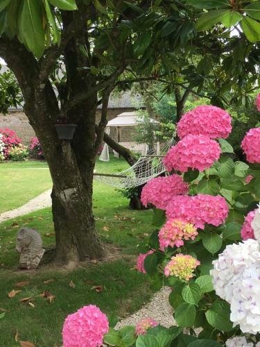 Bed & Breakfast La Meffrais 1741