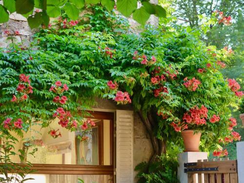 Bed & Breakfast La Source Du Vallon
