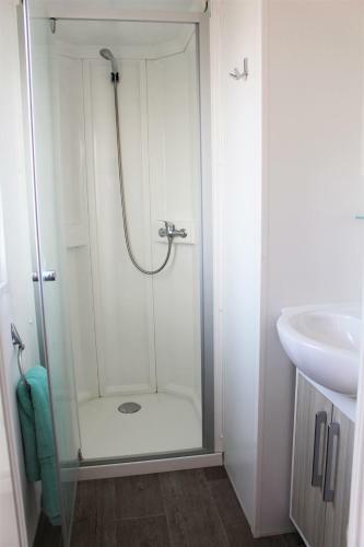 Lodge Camping Les Bois Flott�s