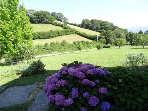 G�te Sare, 3 Pi�ces, 4 Personnes - Fr-1-384-503