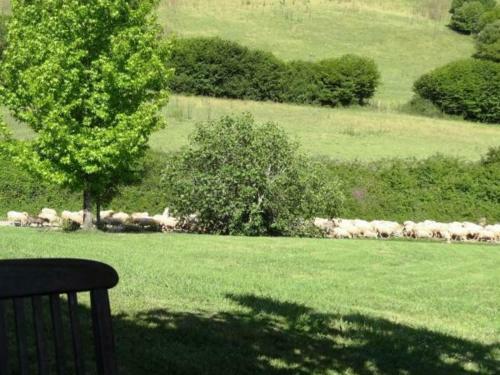 G�te Sare, 3 Pi�ces, 4 Personnes - Fr-1-384-503