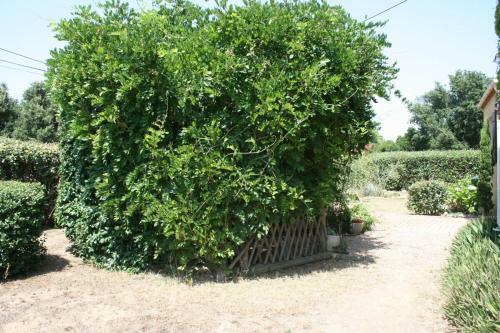 Villa de 140 M Carr� Climatis�e � 10 Min de La Plage