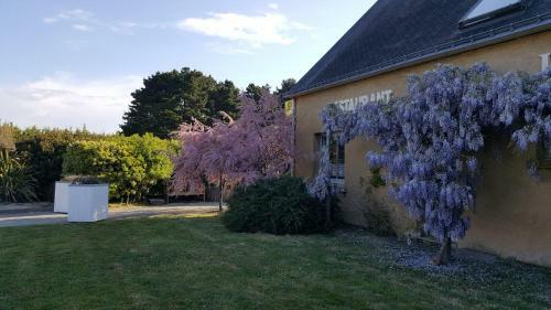 Hotel H�tel Le Mur Du Roy