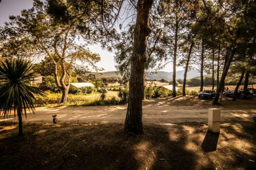 Camping Olva *** - Maeva