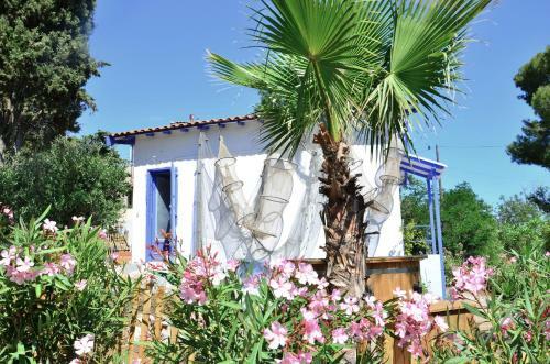 Les Maisons De P�cheurs