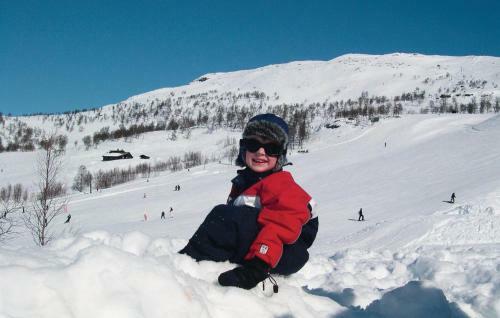Holiday Home Vinje Skj�rdalen