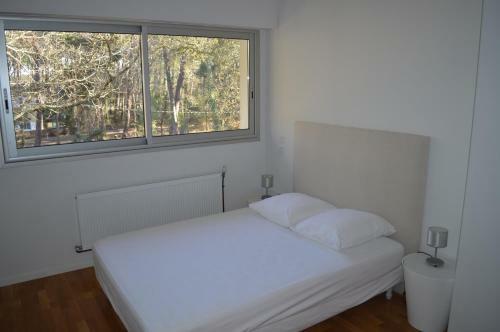 Villa Houx & Ivy #0384