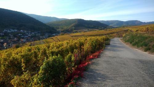 Apartamento Le G�te de La Vall�e Noble
