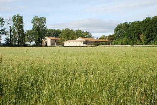 Maison de Charme Dans Domaine 17�me