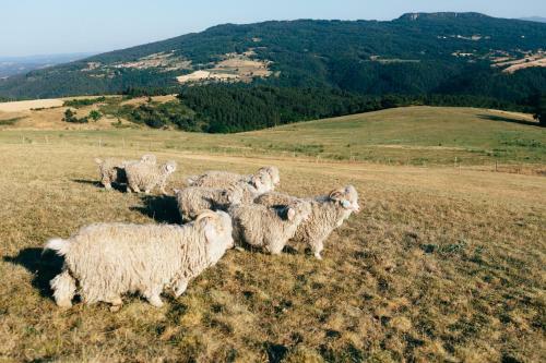 Ferme Lou Pagora