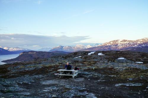 Tjeldsundbrua Camping