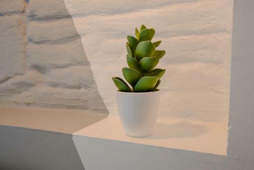 Apartamento Beethoven By Cocoonr