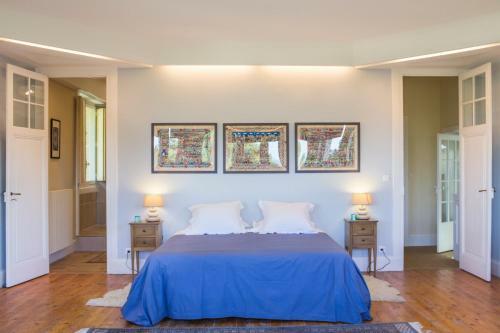 Vacqueyras Chateau Sleeps 12 Pool Wifi