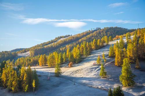 Bed & Breakfast Chalet Sainte-marie Valberg