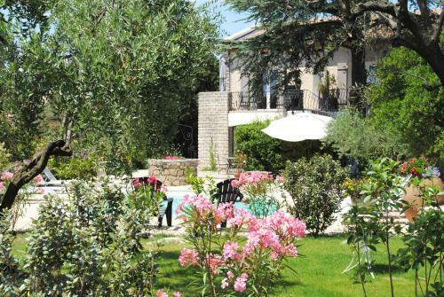 Bed & Breakfast Terre De Bacchus