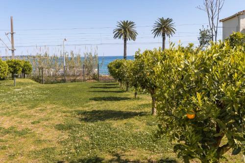Kikiloue Terrasse Piscine Parking Neuf Proche Des Plages