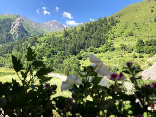 Bed & Breakfast La Ferme Des �troits