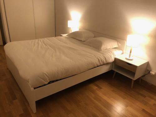 Apartamento La Pommeray Geneva