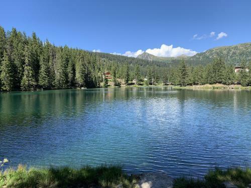 Les Balcons De Vaujany