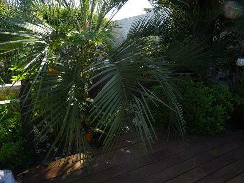Hotel H�tel De Charme Le Sens