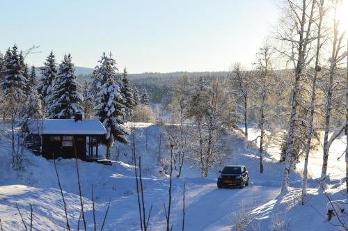 Lodge Trysil Hyttegrend
