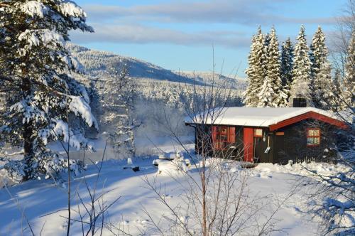Lodge Trysil Hyttegrend