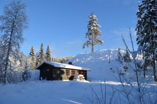 Lodge Trysil Hyttegrend