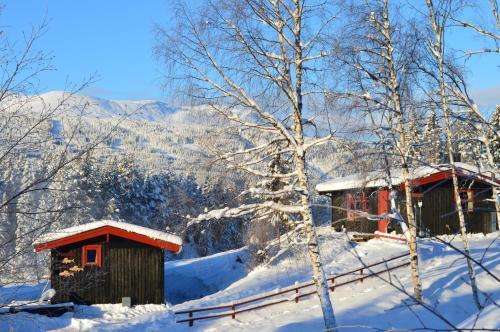 Lodge Trysil Hyttegrend