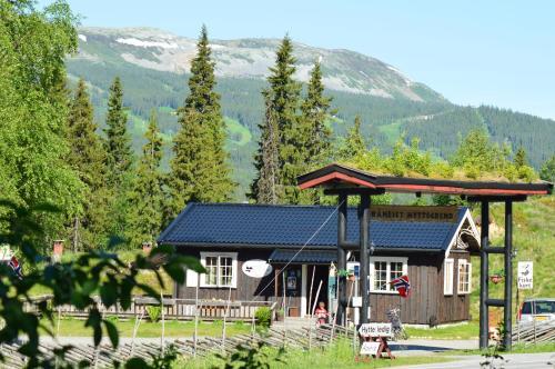Lodge Trysil Hyttegrend