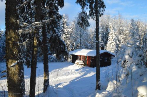 Lodge Trysil Hyttegrend