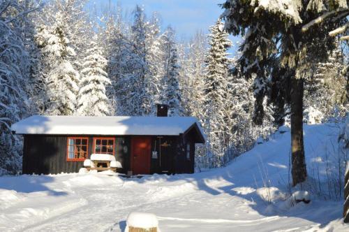 Lodge Trysil Hyttegrend
