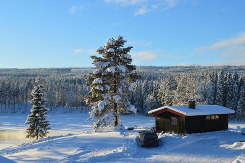 Lodge Trysil Hyttegrend