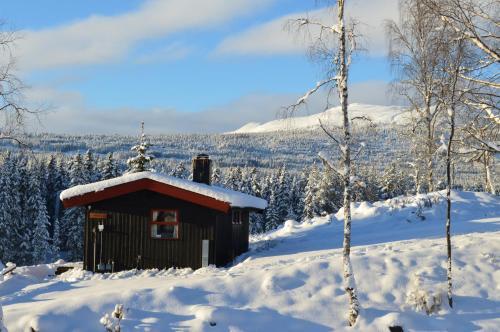 Lodge Trysil Hyttegrend