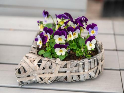 Sandmoen Bed & Breakfast