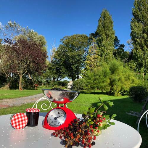 Bed & Breakfast Les Champs Rabats