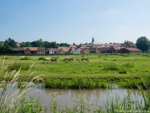 Coeur D'alsace