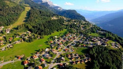 Apartamento 3 Pi�ces 6 Pers Au Centre Des Carroz (Mou2f)