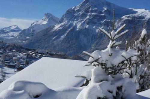 Brilliantly Located Spacious 4-bedroom Chalet