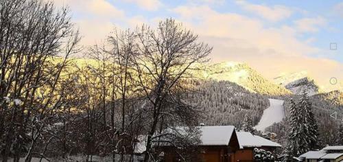 Brilliantly Located Spacious 4-bedroom Chalet