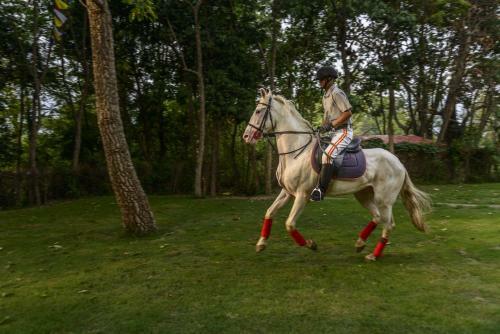 Hotel Gokarna Forest Resort