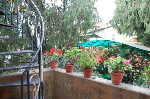 Hostal Souvenir Guest House