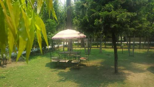 Hotel Jungle Safari Resort P. Ltd.