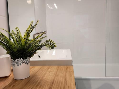 Apartamento Le Petit Balzac By Cocoonr